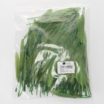 položky Dekorativní peří pro stylovou atmosféru a působivé dekorace 10 cm