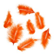 položky Peří krátké 30g Orange