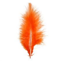 položky Peří krátké 30g Orange