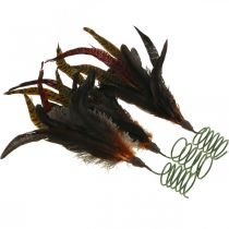 položky Barevné peříčkové dekorace na drátě jarní dekorace V35cm 3ks