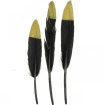 Ozdobné peří černé, zlaté pravé peří pro ruční práce 12-14cm 72p