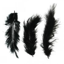Feathers Black Pravá ptačí peříčka na výrobu Jarní dekorace 20g