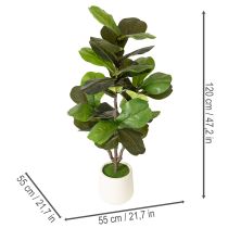 položky Umělý Ficus lyrata 120 cm dekorativní do obývacího pokoje