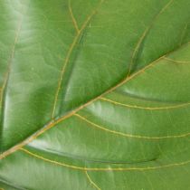 položky Umělý Ficus lyrata 120 cm dekorativní do obývacího pokoje