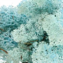 Dekorace mech světle modrý akvamarín sobí mech řemeslný mech 400g