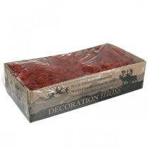 položky Dekorativní mech červený Siena přírodní mech pro řemesla sušený, barvený 500g