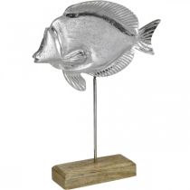 Dekorativní ryba, námořní dekorace, ryba ze stříbrného kovu, barva přírodní V28,5cm