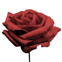 položky Pěnová růže červená Ø10cm 8ks