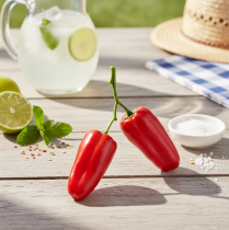 položky Umělé červené papriky na větvi zeleninová dekorace L8cm