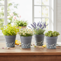 položky Květináč s květinovým vzorem pro moderní dekoraci domova a letního balkonu, 13 cm, 4 kusy