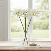 položky Nerine Guernsey Lily Umělý květ Bílá Žlutá Ø15cm L65cm
