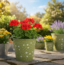 položky Stříbrnozelený květináč, kovový květináč s hvězdami, Ø14cm