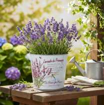 položky Kovový květináč, levandule, Ø21cm V18cm