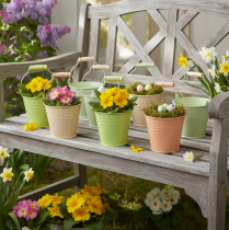 položky Kbelík s uchem, květináč s petrklíčem, kovový pastelový, 11,5×8,5 cm, 8 ks