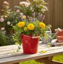 položky Dekorativní kovový kbelík/květináč, červený, Ø22 cm, V21,5 cm, 6 l