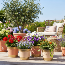 položky Kovový květináč/květináč, Ø17cm V14,5cm, 4 kusy