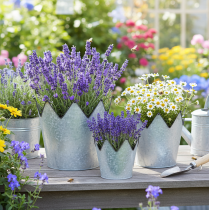 položky Kovová ozdobná korunka pro květináče, zinek, Ø21,5/19,5/17 cm, sada 3 ks