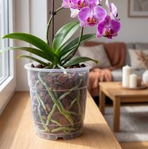 položky Květináč na orchideje průhledný Ø15cm 10ks