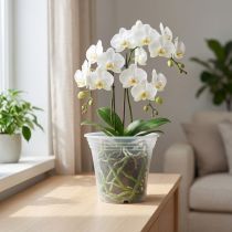 položky Plastový hrnec “Irys” průhledný Ø17cm 1 ks