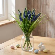 položky Hroznové hyacinty 28cm - 30cm Modré 15 ks