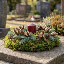 položky Přírodní dekorace z divoké lilie, exotické sušené květiny 6-8 cm, 50 ks