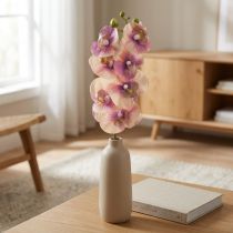 položky Orchid Phalaenopsis umělá 7 květů fialová krémová 73cm