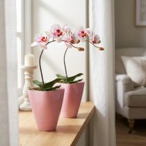 položky Květináč, plastová váza, květináč na orchideje, růžový, výška 16,5 cm, 2 kusy