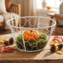 položky Síťovaný koš, drátěný koš, kovová dekorace shabby chic bílá Ø12cm V7cm