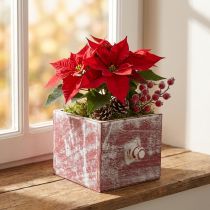 položky Krabice na rostliny dřevěná dekorativní zásuvka shabby chic červená bílá 12cm