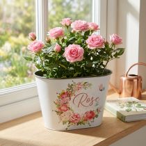 položky Květináč, dekorativní květinové růže, miska na květiny L19cm H12,5cm
