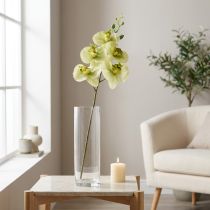 položky Orchidej umělá žlutá zelená Phalaenopsis 85cm