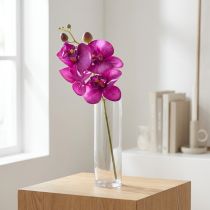 položky Orchidej Umělá Phalaenopsis 4 květy Fuchsie 72cm