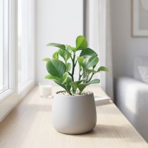položky Umělá zelená rostlina sukulentní umělá zelená H14cm