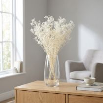 položky Gypsophila White Sušené Grasses Dekorační krém 65-70cm 100g