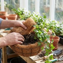 položky Kokosové vlákno z přírodních rostlinných vláken, materiál na tvoření z přírodních vláken 1 kg