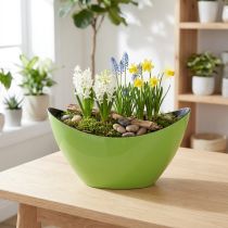 položky Rostlinná loď zelená dekorativní miska oválná 20cmx9cmx12cm
