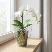 položky Květináč na orchidej lesklý Ø12,5cm průhledný 1 kus
