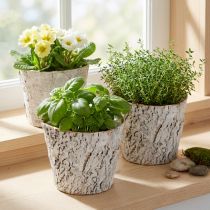 položky Květináč s imitací kůry, ideální pro rustikální interiérový design a dekoraci rostlin, 12 cm, 4 kusy