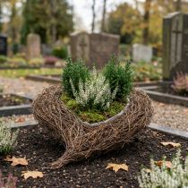 položky Miska na rostliny srdce hřbitov, vinná réva srdce na výsadbu 26cm