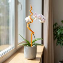položky Kůl na orchideje, plastový, oranžový, pomůcka pro lezení na orchideje, V64cm