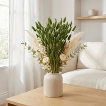 položky Lagurus (Lagurus) sušený dekorativní zelený 50-60 cm 50 g sušených květin