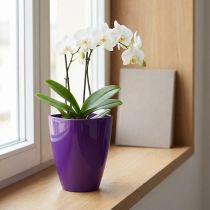 položky Květináč na orchidej, lesklý, Ø12,5 cm, fialový