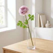 položky Ranunculus lila V45 cm