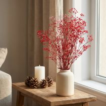 položky Gypsophila Gypsophila sušené květy červené 50cm 55g