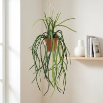 položky Rhipsalis umělý korálový kaktusový závěsný koš H87cm