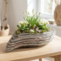 položky Rostlinná lodička rostlina vlnitý ratan přírodní bílý 45x16cm