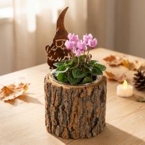 položky Květináč dřevěný kůrový trpaslík z rezavé kůže, výška 24 cm