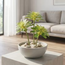 položky Sukulentní umělá rostlina s trsátkem Aeonium Green 30cm 4 ks
