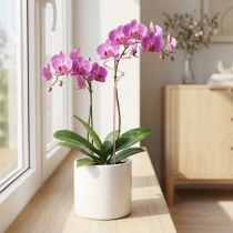 položky Květinová tyčinka na mřížku, tyčinka na orchideje, růžový Twister 38 cm
