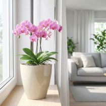 položky Květináč na orchidej lesklý Ø12,5cm písek 1 kus